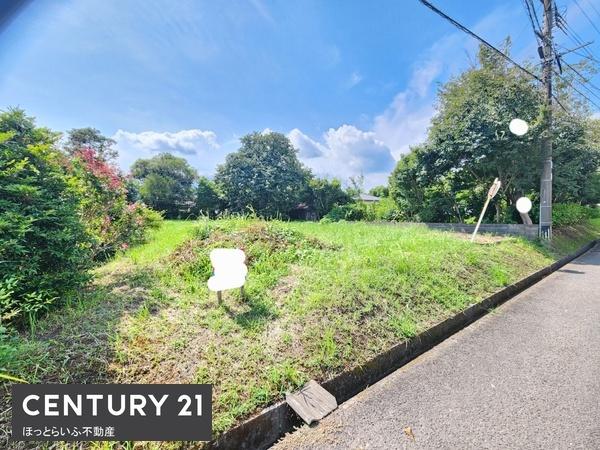 都城市志比田町の土地