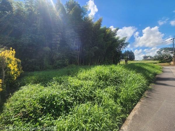 静かな環境で角地の土地が出ました