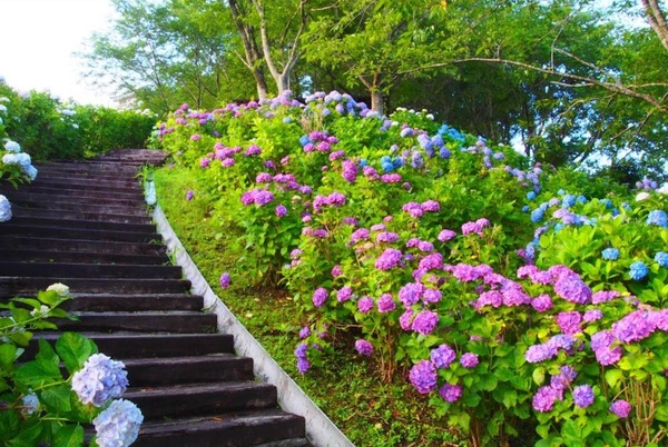 作業所や趣味を楽しむ隠れ家として利用可能な物件(あじさい公園(松尾城跡))