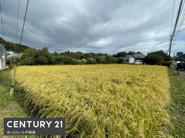 平坦地で自由な建築が可能な土地
