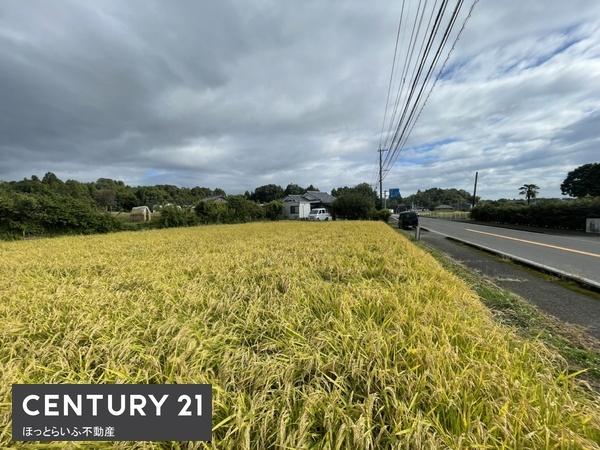 平坦地で自由な建築が可能な土地