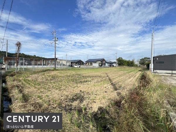 269号線から入った場所に事業向けの土地が出ました
