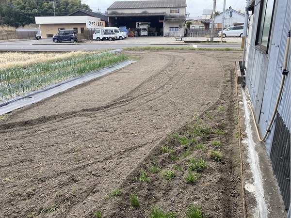 都城市志比田町の土地