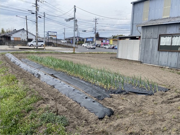 都城市志比田町の売土地