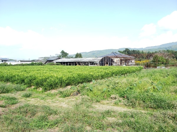 北諸県郡三股町大字宮村の土地