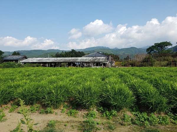 北諸県郡三股町大字宮村の土地