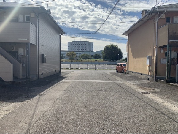 （ノース）（サウス）ルピナス
