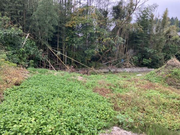都城市上水流町の土地