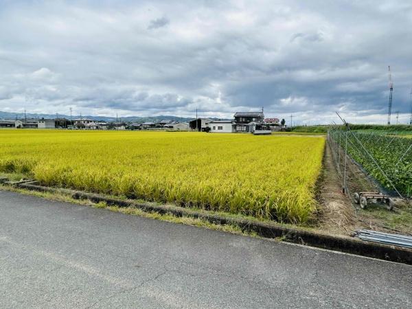 磯城郡川西町大字保田の土地