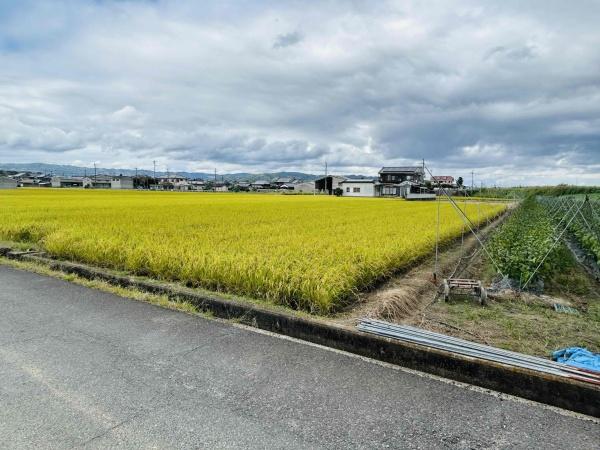 磯城郡川西町大字保田の土地