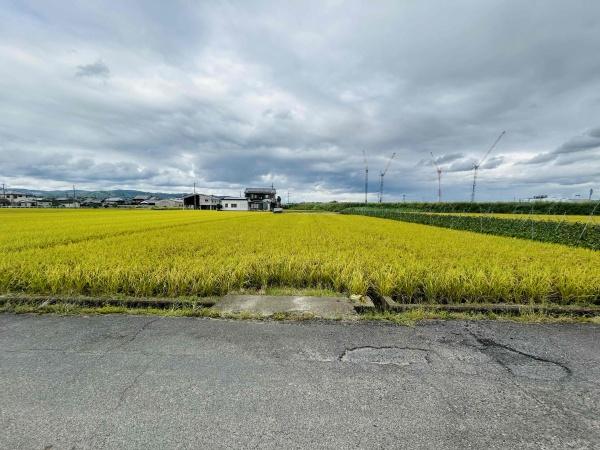磯城郡川西町大字保田の土地