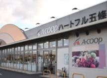 五條市居傳町の中古一戸建て(エーコープハートフル五條)