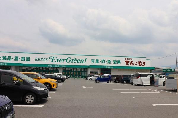 磯城郡田原本町大字阪手の新築一戸建(スーパーエバグリーン田原本店)