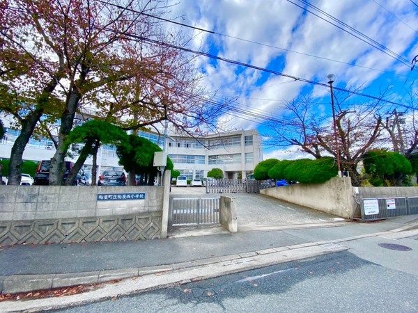 糟屋郡粕屋町大字仲原の土地(粕屋町立粕屋西小学校)