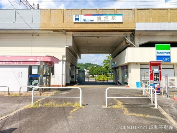 豊田市平芝町6丁目の新築一戸建(名鉄三河線「梅坪」駅)