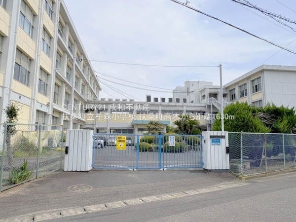 丹羽郡扶桑町大字高木字稲葉の新築一戸建(扶桑町立柏森小学校)