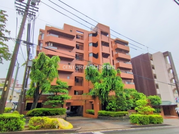 三旺マンション猫洞