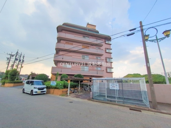 レインボー江南