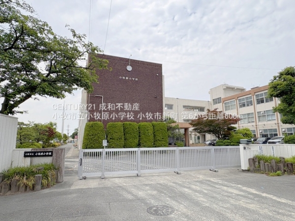 小牧市新町1丁目の新築一戸建(小牧市立小牧原小学校)