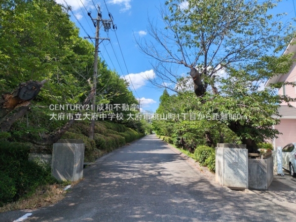 大府市桃山町1丁目の土地(大府市立大府中学校)