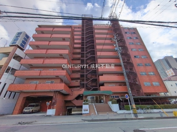 シャンボール康生