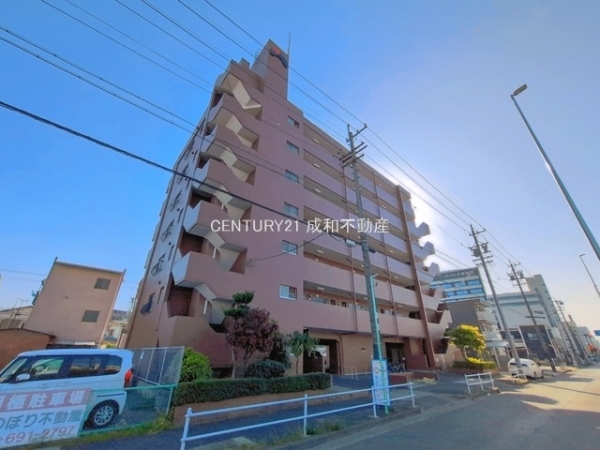 シャンボール道徳