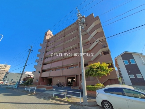 シャンボール道徳