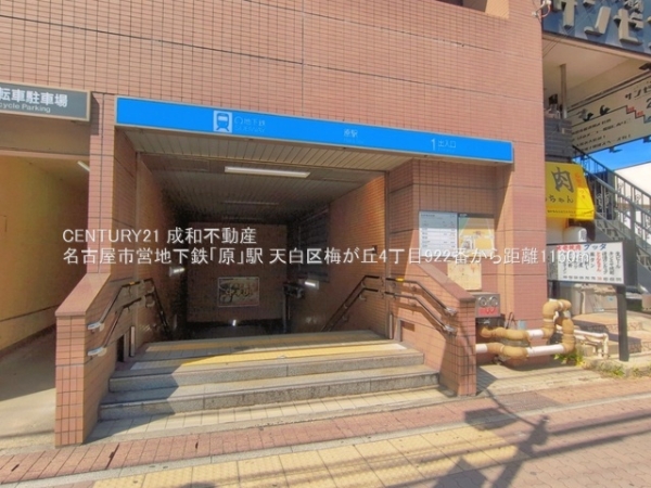 名古屋市天白区梅が丘４丁目の新築一戸建(名古屋市営地下鉄「原」駅)