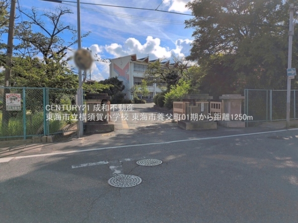 東海市養父町南堀畑の新築一戸建(東海市立横須賀小学校)
