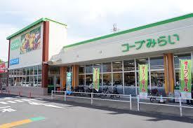 上尾市大字平塚の中古一戸建て(コープ二ツ宮店)