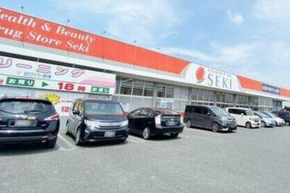 さいたま市西区大字内野本郷の土地(ドラッグストアセキ内野本郷店)