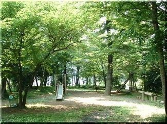 さいたま市西区大字内野本郷の土地(西谷自然の森)