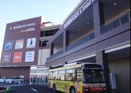 桶川市上日出谷南1丁目の土地(アピタ桶川店)