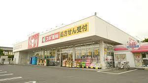 桶川市上日出谷南1丁目の土地(スギドラッグ下日出谷店)