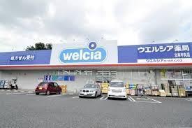 北本市中丸3丁目の土地(ウエルシア北本中丸店)