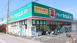 北足立郡伊奈町西小針5丁目の中古一戸建て(ドラッグセイムス伊奈内宿店)