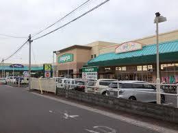 鴻巣市小松３丁目の土地(ダイソーいなげや北本駅前店)