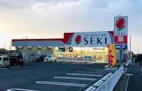 桶川市大字坂田の中古一戸建て(ドラッグストアセキ坂田西店)