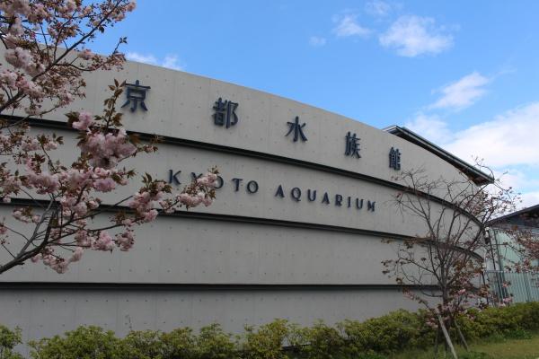 梅小路スカイハイツA棟(京都水族館)