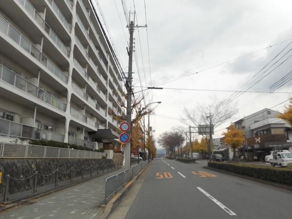 紫野スカイハイツ