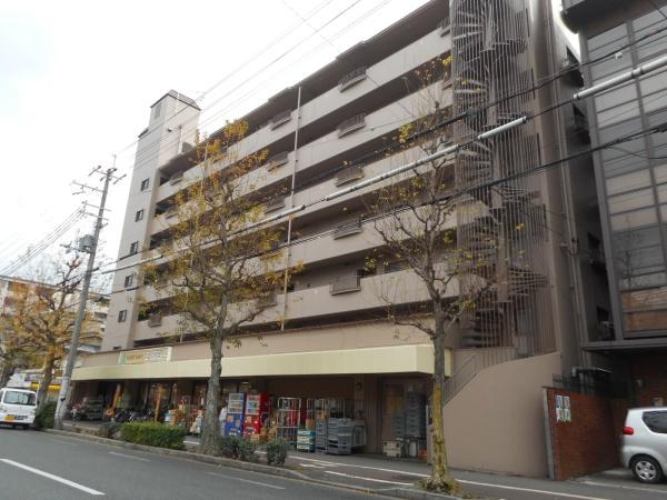 インペリアル衣笠