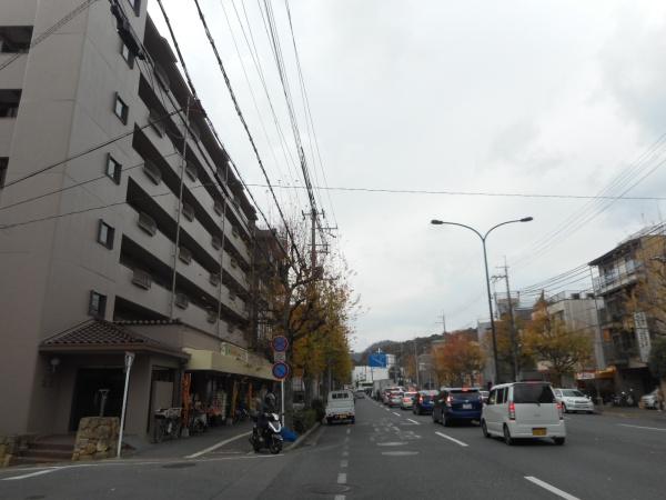 インペリアル衣笠