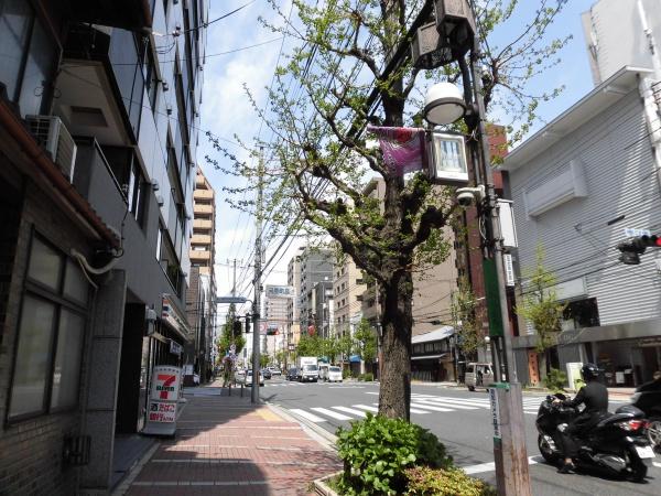 シンフォニー四条河原町
