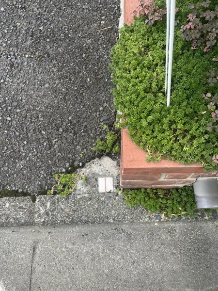 京都市中京区西ノ京中御門東町の土地
