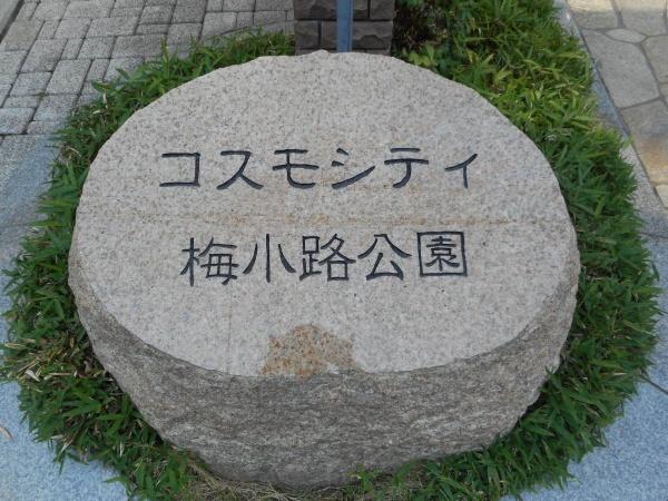 コスモシティ梅小路公園