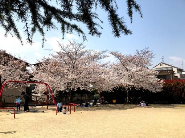 エクセル渋川(深田川橋公園)