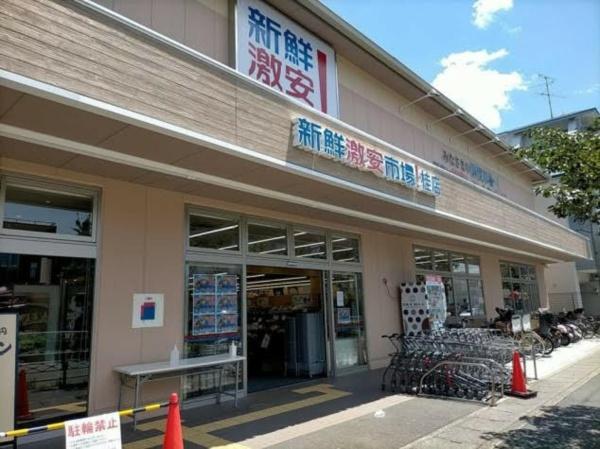 ドムス桂(新鮮げき安市場！桂店)