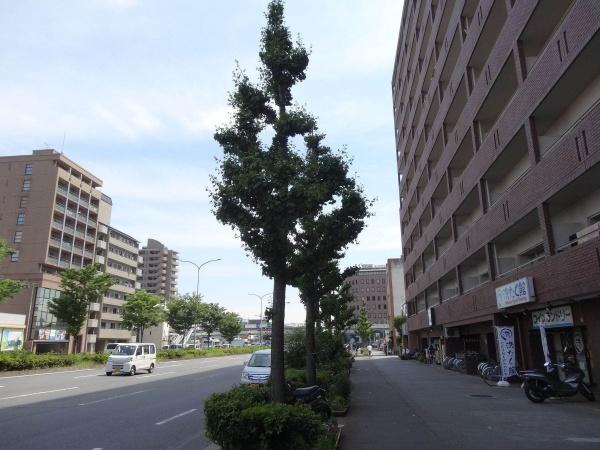 ライオンズマンション堀川