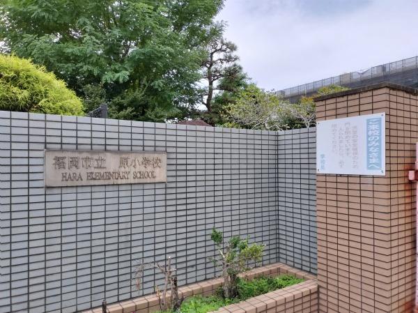 福岡市早良区荒江3丁目1期 1号棟(福岡市立原小学校)