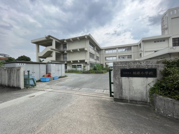 南区柏原1丁目　1号棟(福岡市立柏原小学校)